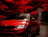 Saleem